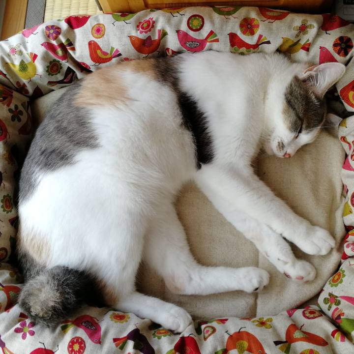 83e757fe 5c4d 4cda 8083 fb2c13bfce28 1561783349173