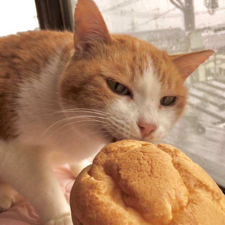 83e7914c bad3 4c9f b584 5a44d8bc899b 1587450387764