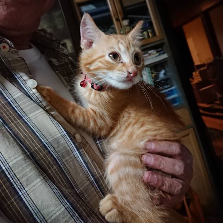 83e79223 3228 4fc5 b54a d52303fc3ef2 1630670074495