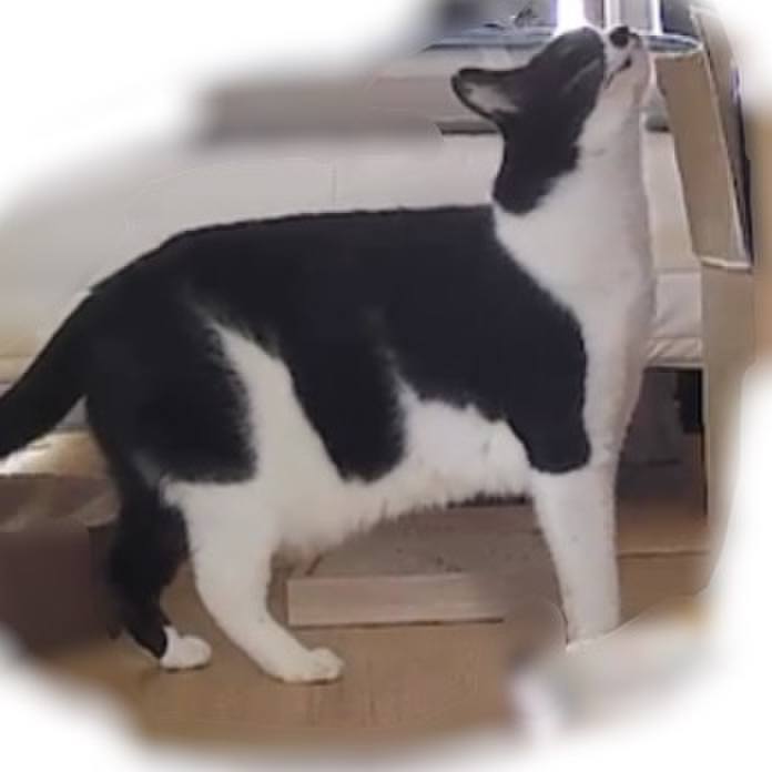 83e7d8e5 3f13 452d 9b03 6923a9872ae6 1764157748636