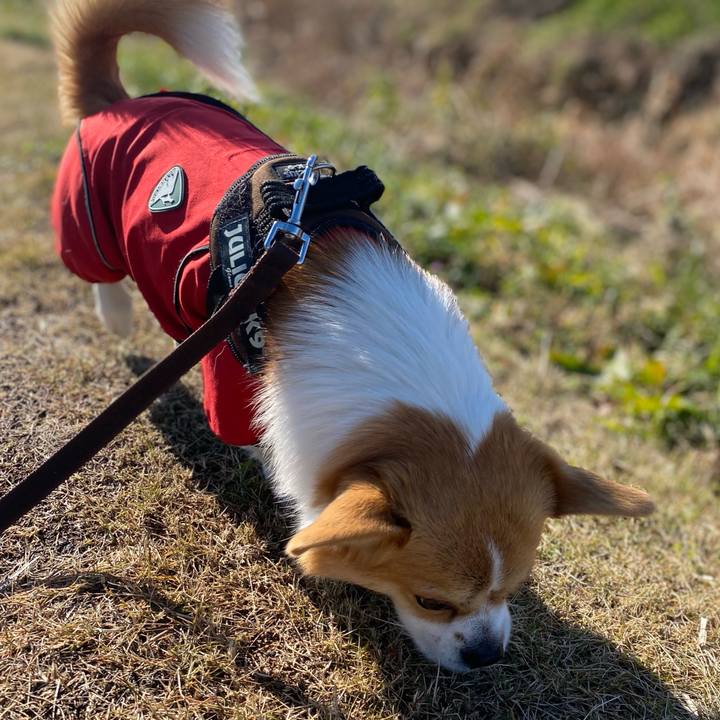 83e7dcfc f1fe 4d3c a8cd e7e5cf230677 1639835974610