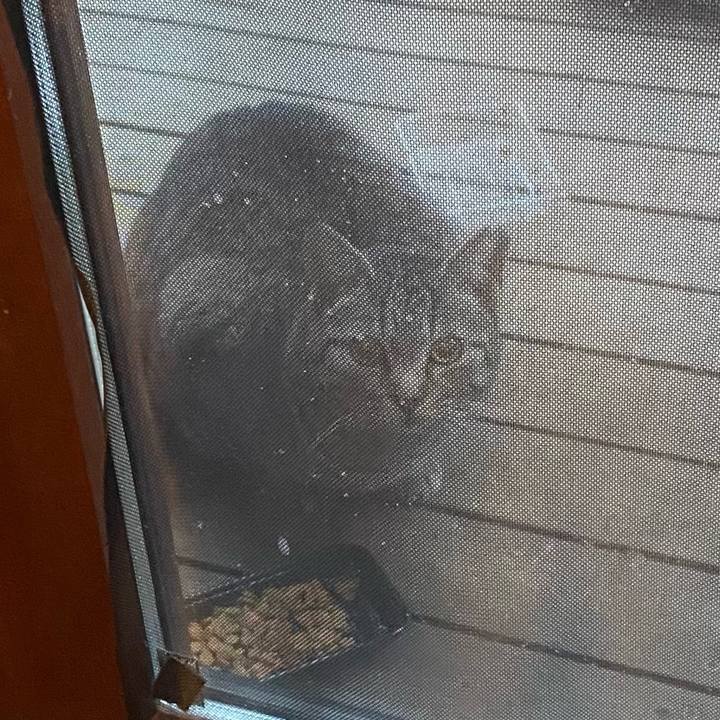 83e7df32 6969 4f7b a4aa 708d374fd960 1712350682682