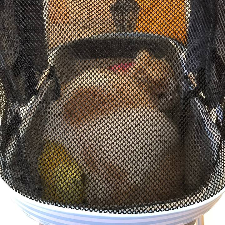 83e7e63a 506e 45b2 8d8a 41f92d9e65d0 1532840966071