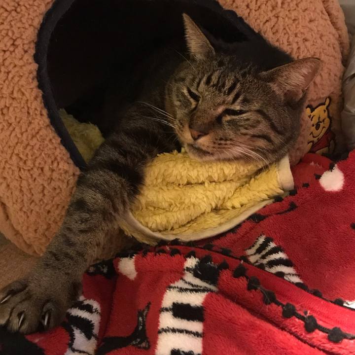 83e80826 06fe 4aec 8023 eee18721b3ec 1585310771217