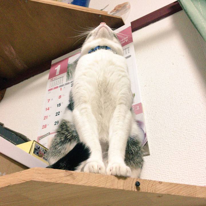 83e83a2b fe7b 4947 b822 ada50d15b305 1516800165569