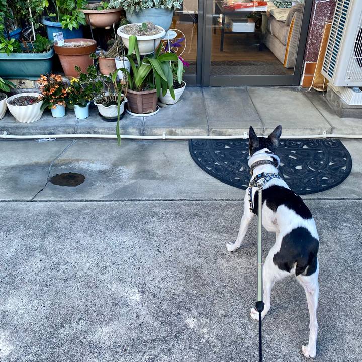 83e866a4 7ab8 47ad b4c4 a2eb7ae0e531 1628590168958