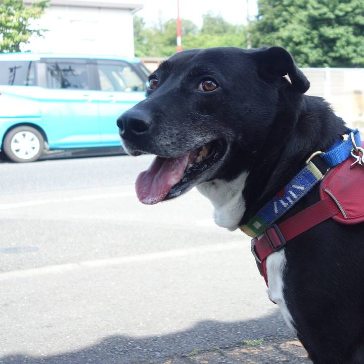 83e878f1 7ef7 45e8 be72 5fd16cf6eba7 1685149337813