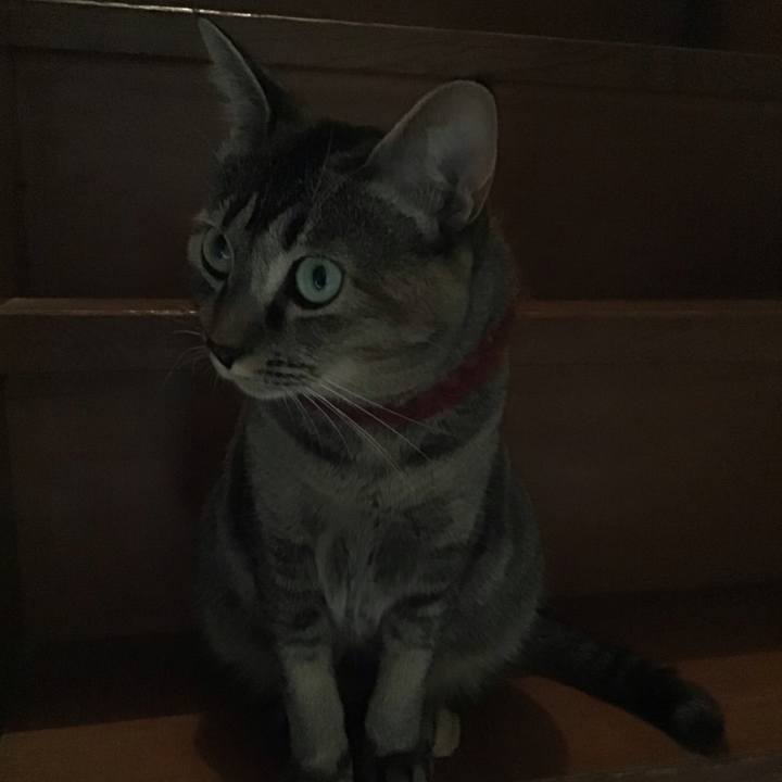 83e8da3f 46a7 4903 b81e 475826bff6d0 1601541691098