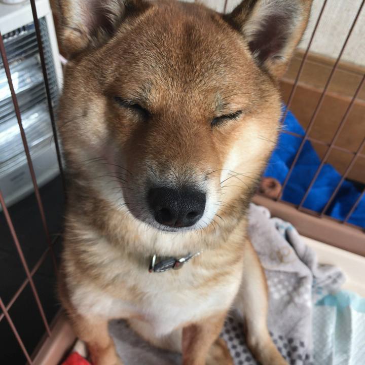 83e90720 9cd1 4e46 bce4 e6b2e956dd6e 1524179312801