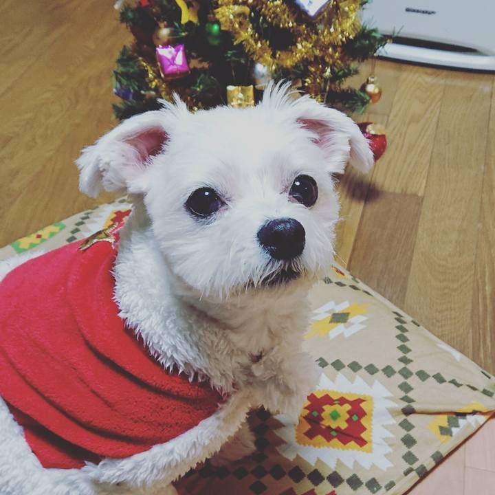 83e917ff b213 4a38 8e4b df652ae178a9 1545639796443