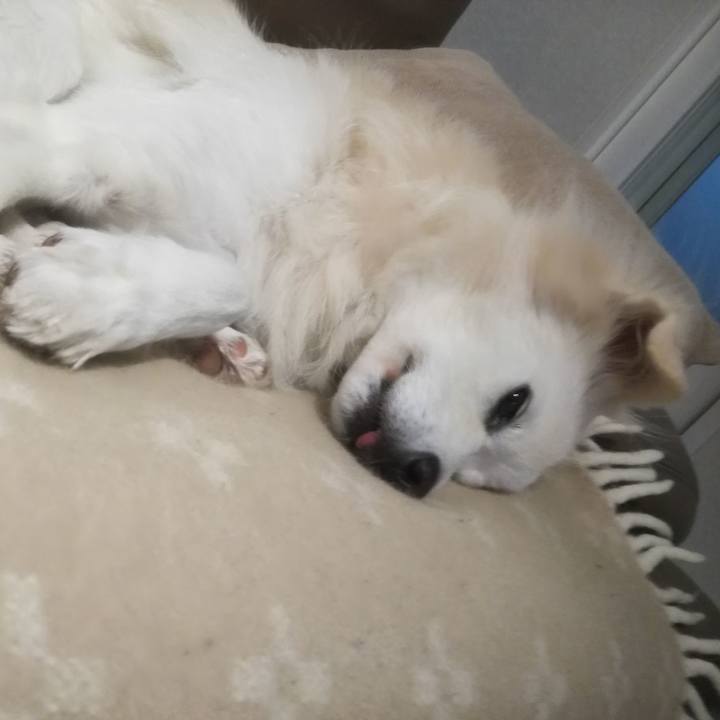 83e94113 45a0 4cc9 b7ef 54f5f8354fb4 1510653747514