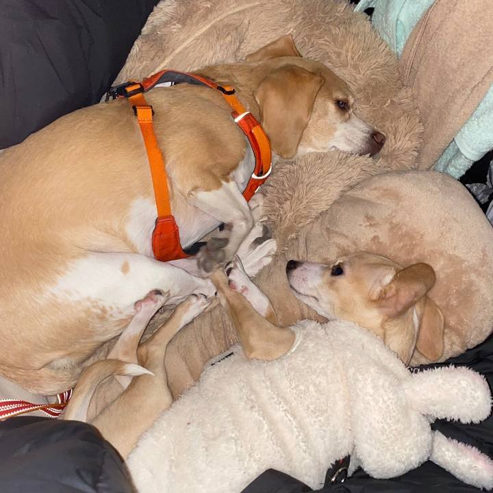 83e95b7e 1e5c 4b16 9f51 1406a3d8bb39 1671376307111