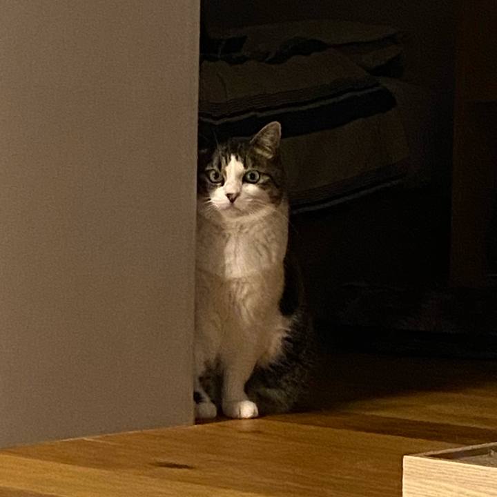 83e9650a 8512 48fd a6c8 e164dfdb78d2 1752385941865