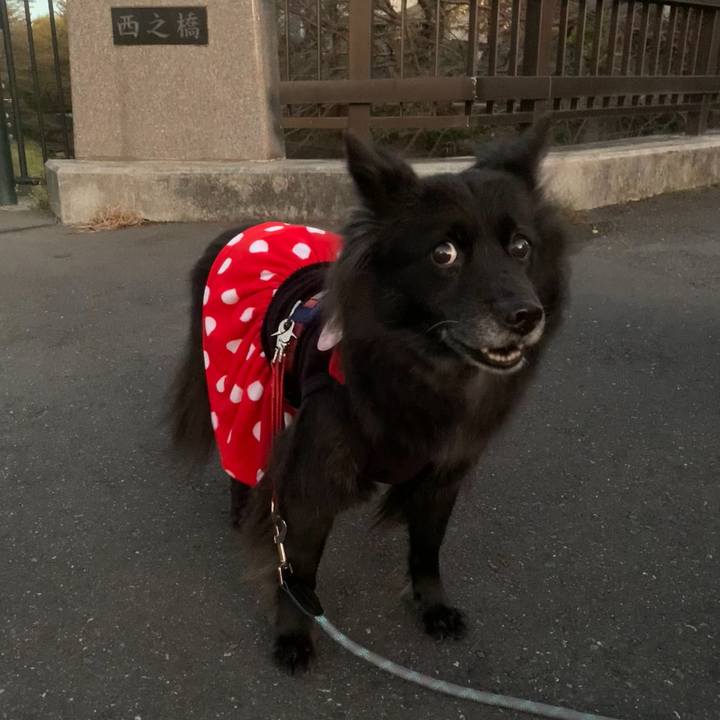 83e99a26 3667 4457 8743 0c9216f5dd0d 1762178784151