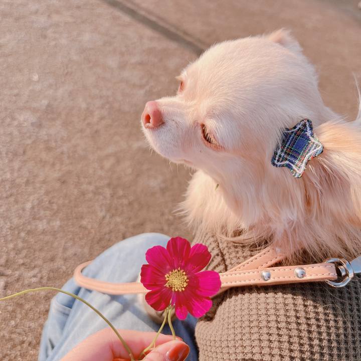 83e9a83d 1fe8 46ab acf5 cf98000c6178 1666350274531