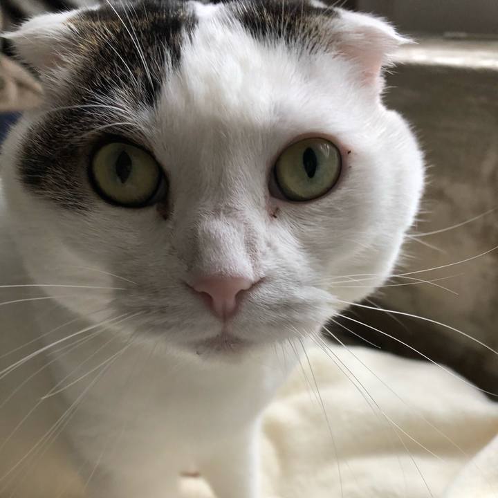 83ea217d 2c61 44be a90a 85f44ac24c99 1596029960507