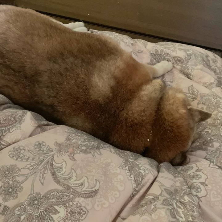 83ea22ba cd8c 47e8 8296 4e0a57258826 1618614367873