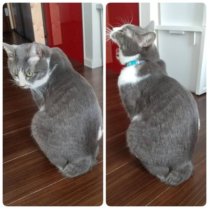 83ea53de 01df 4389 a063 dd0b705d48de 1639881956118