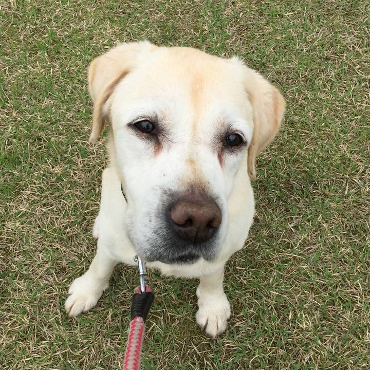 83ea76c9 0d5d 4a3a 95ab 1f7738e027e0 1525782929727