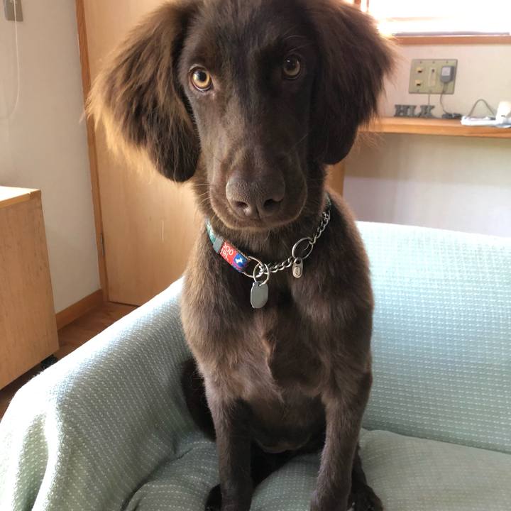 83ea84c7 ab4c 4ac2 9e5b 7031c1e94a8f 1559541648305