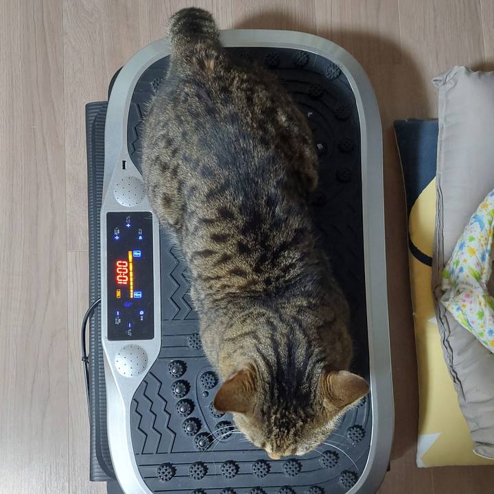 83ea8600 47de 4200 ab2a e3024af6a57f 1637276135127