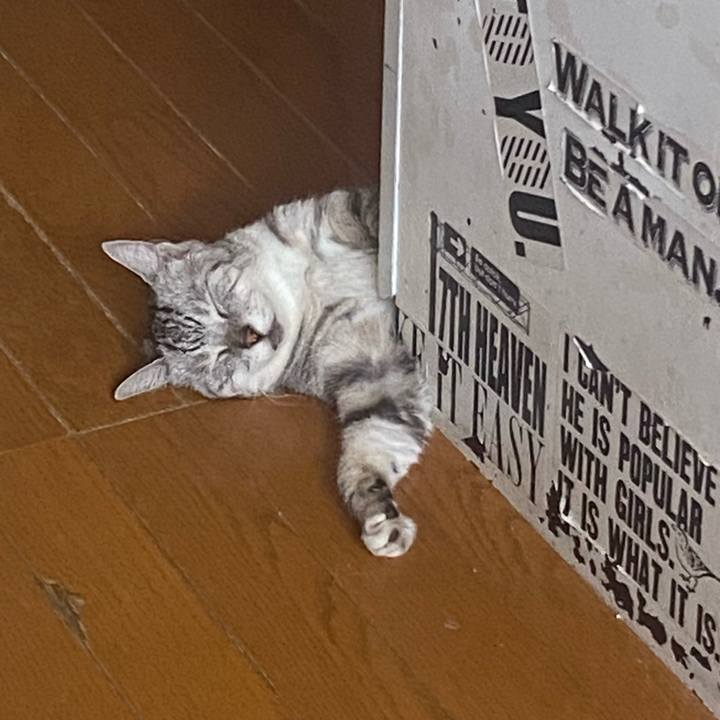 83eaad92 a355 4102 8ea9 defaab5691b5 1723596997937