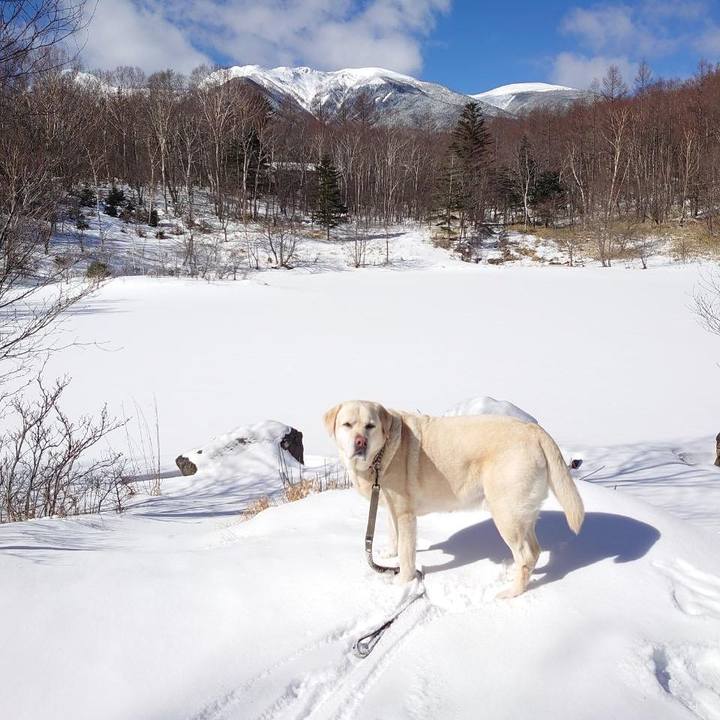 83eacad5 f920 43a8 881b ddd915667556 1740299129546