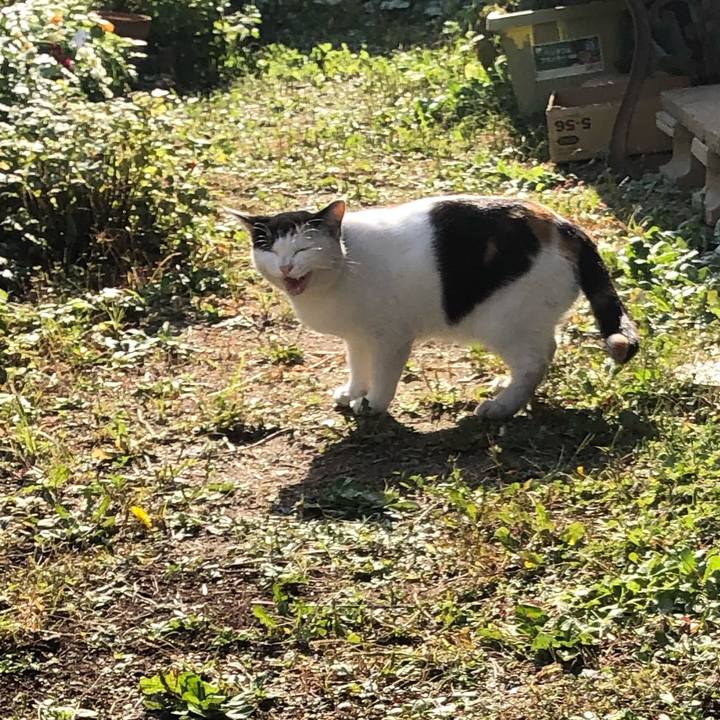 83eb36d6 f2e0 4291 9bf7 c09fe47a6836 1604400988145