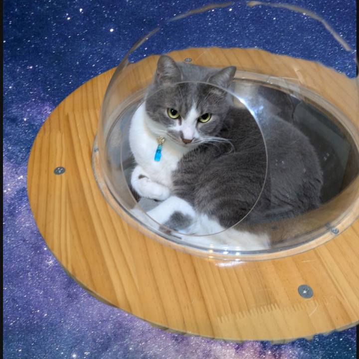 83eb4002 4fac 4681 9b45 e61826a8fc41 1743502489292