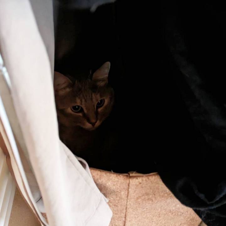 83eb44f3 df03 41a6 a782 d009e6fe9203 1691640504481