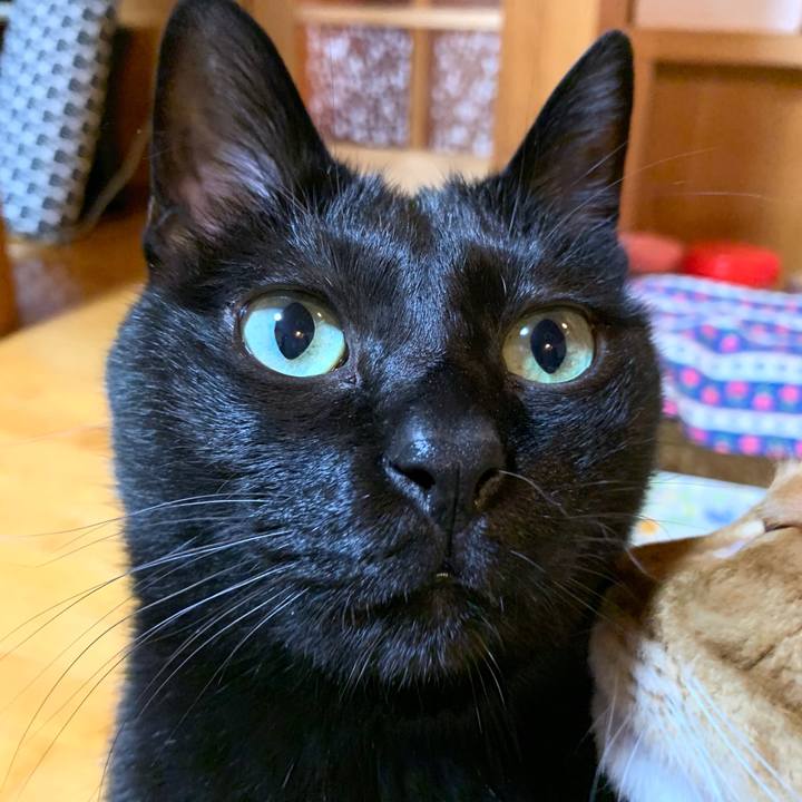 83eb85c6 dfc6 4847 8f11 92c2e8f76fb8 1585397601796