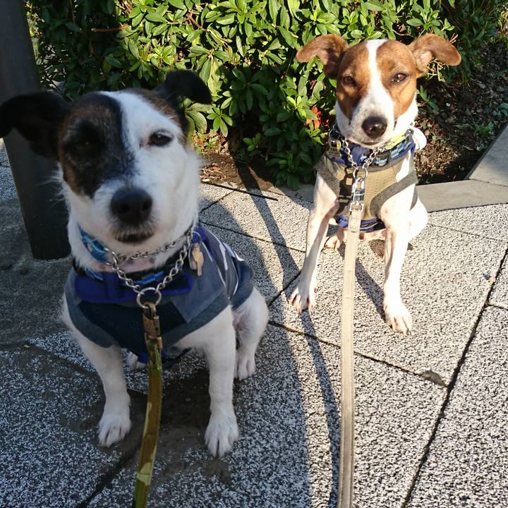 83eb97ff b608 4c41 979a 168c8fd4a050 1568756813021