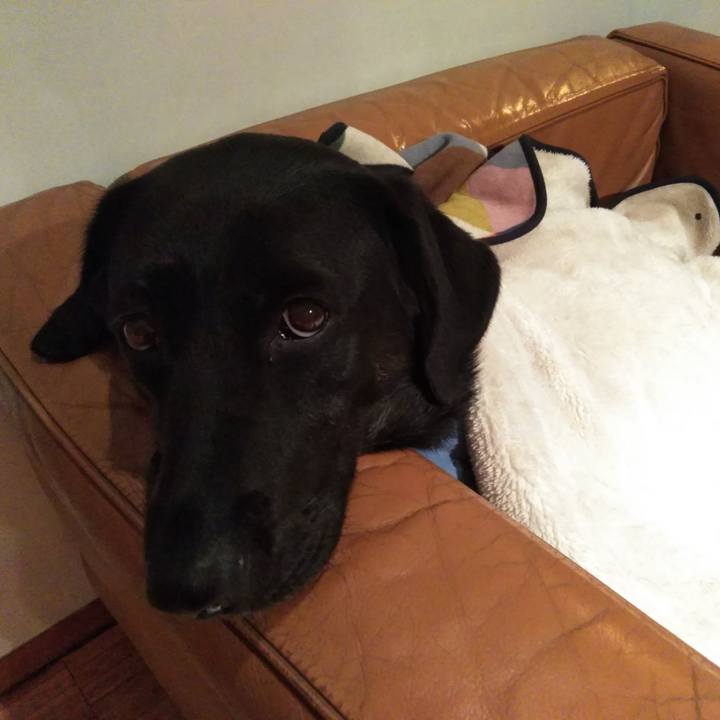 83eb98db 192e 4e9d b2f0 ab633196527e 1546094627128