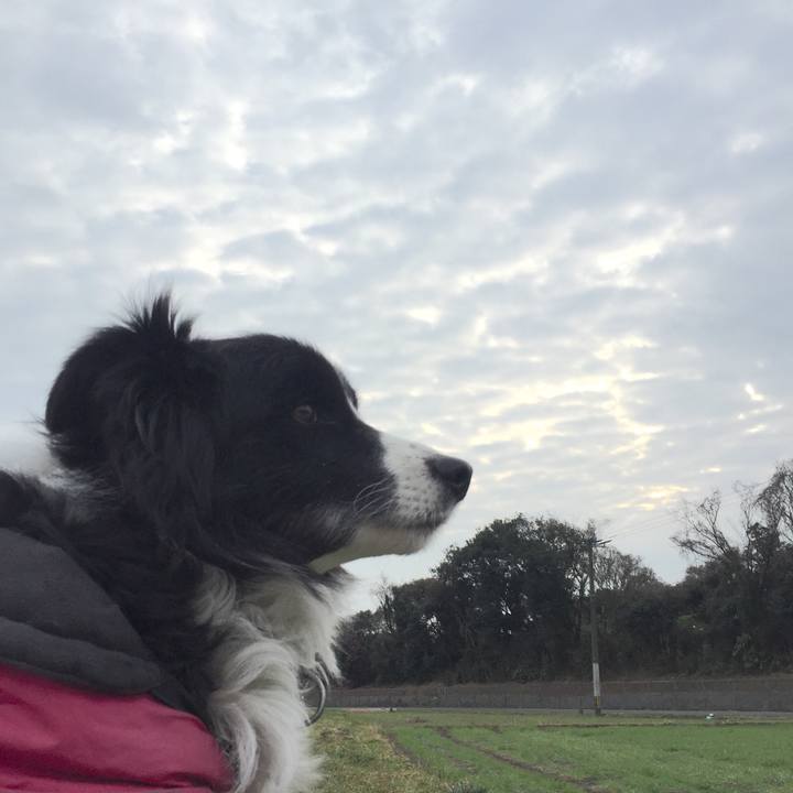 83ebb769 0709 463e 8575 a27cabca178f 1546905305838