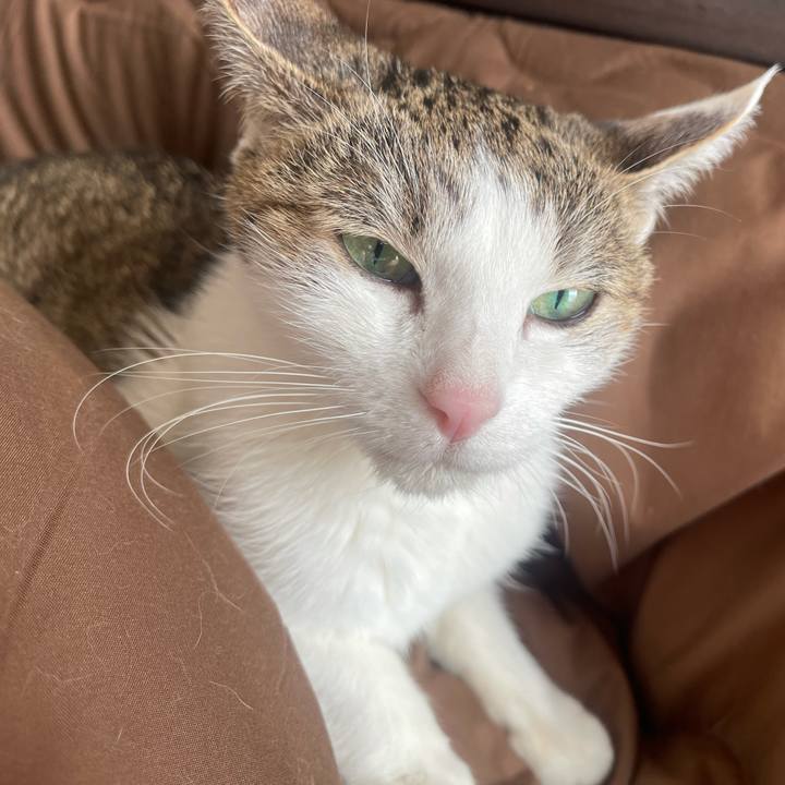 83ec1527 9ebc 48e7 8440 d53976a79bbc 1640744525102