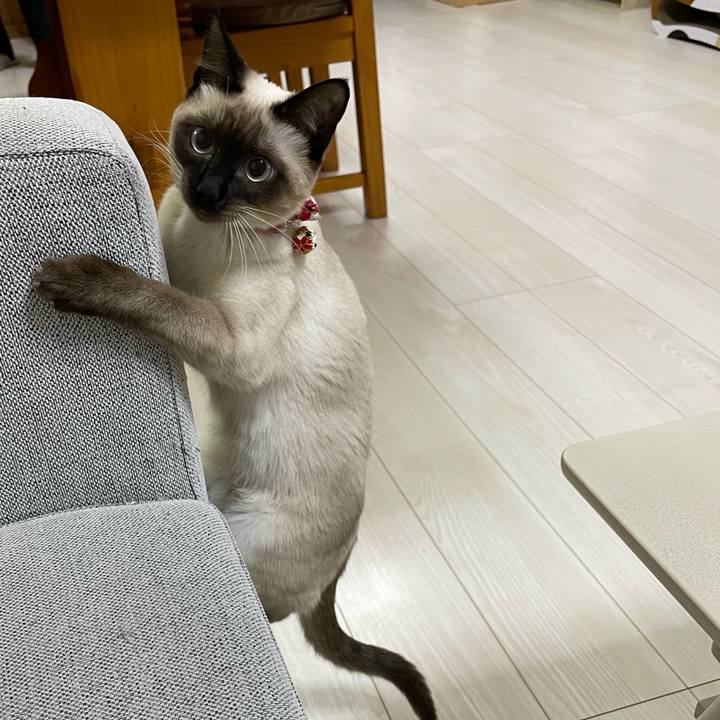 83ec33f7 b939 4208 bea6 297be4b78ea9 1703705165296