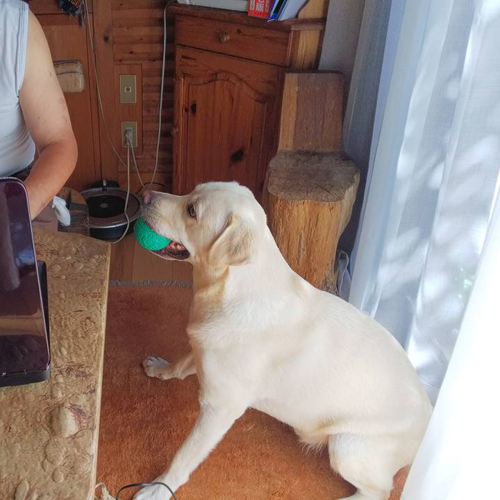 83ec834d 5838 4232 8554 5408bc3b94a0 1535158707458