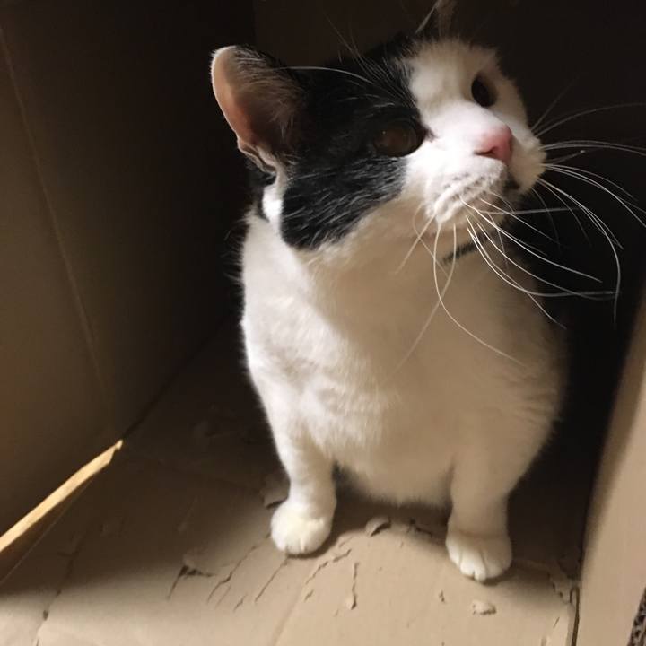 83ec928f 7eb8 4a75 9793 df7d25b5fd28 1581103460262