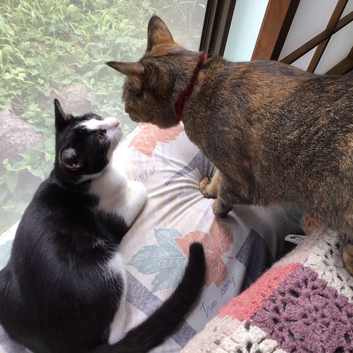 83eca5fd 53a5 41eb 9188 784bbefc4a78 1631333926964