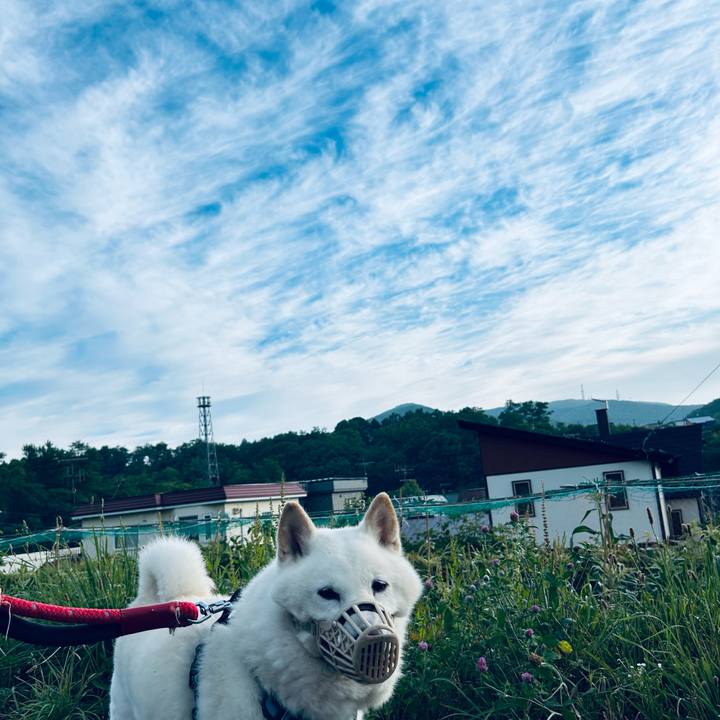 83ecc25d 088a 4599 a4d9 27a42954b2c7 1752353529458