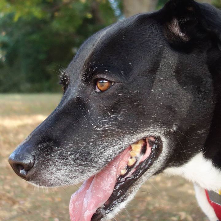 83ed3b34 b174 4716 953a a9ededc81463 1698194716806