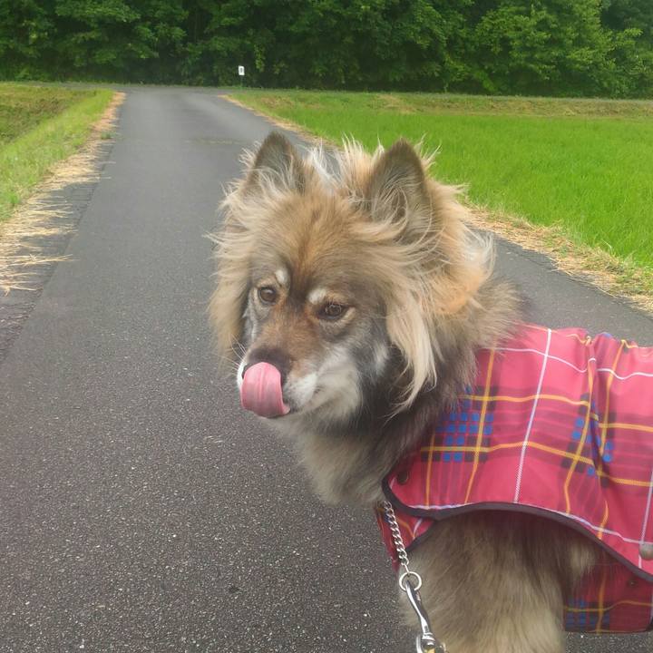 83ed5a52 634f 484f 8db6 55cf915d308b 1529456962350