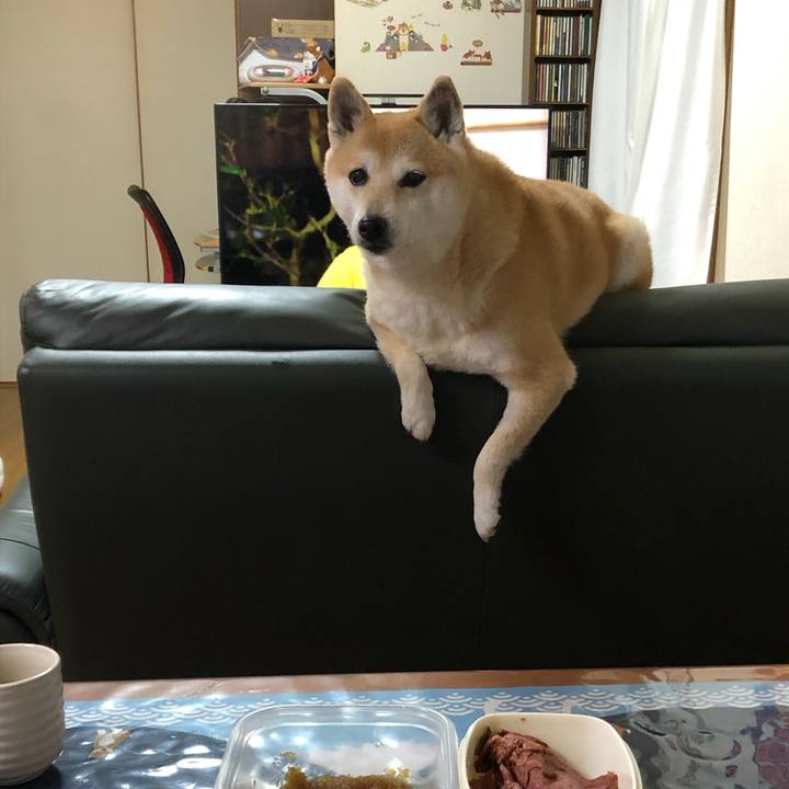 83edacf3 66a3 4504 a517 42b758ea4854 1579862642023