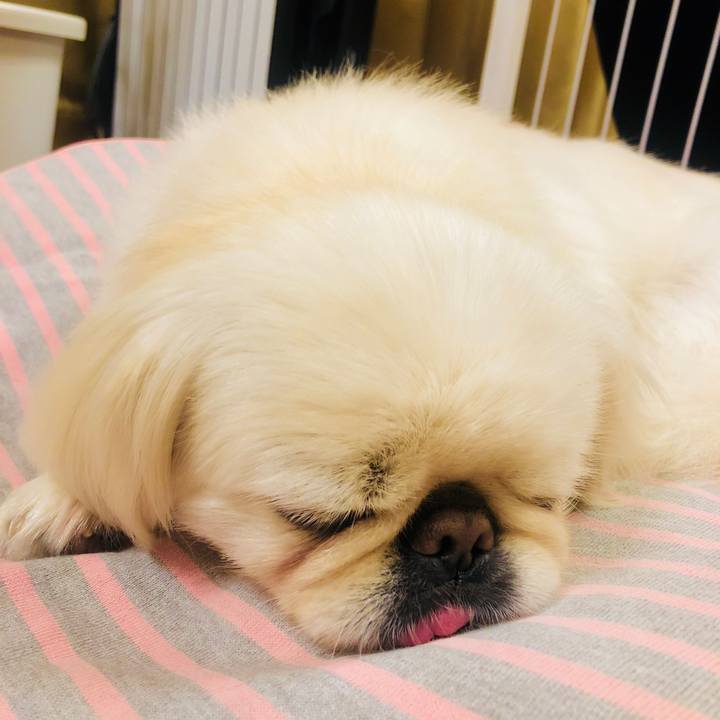 83edbafc 72b5 400c aee1 262b3d1ff2ff 1616069321986