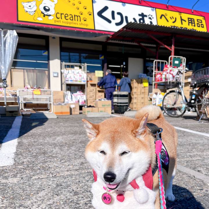 83edda7f 1cae 43ae abb9 b1f3b758fa1e 1702531343013