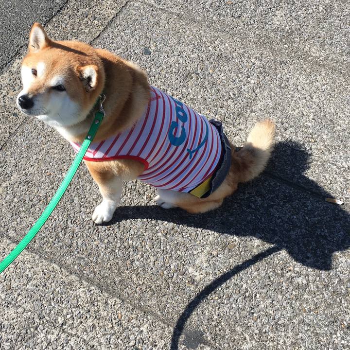 83edfa39 61a5 409a bd3f eb9caebad5bf 1611117891172