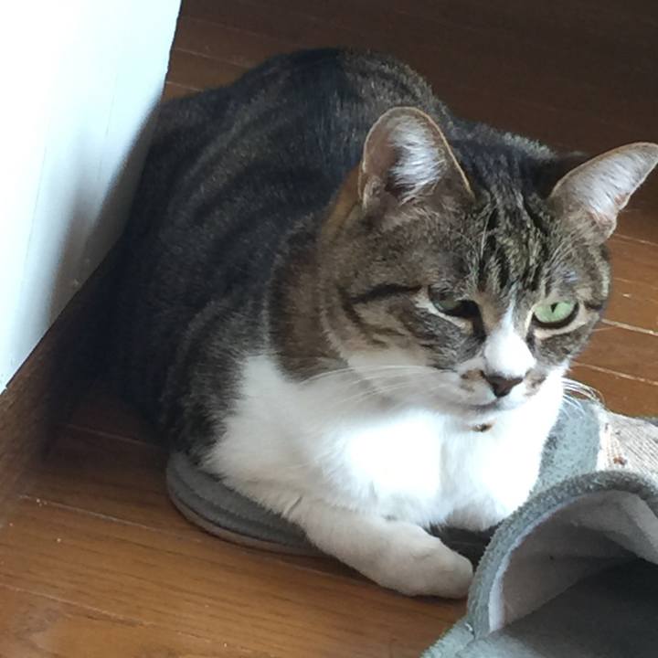 83ee9309 1081 4014 a701 29eda266e403 1554524799513