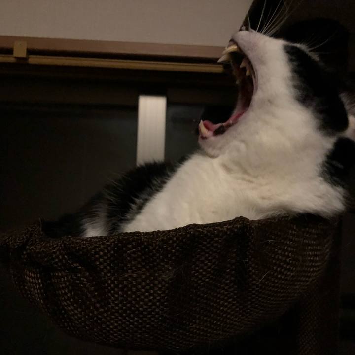 83eed56b 57fb 47ca 812a a176e4db691c 1560188723320