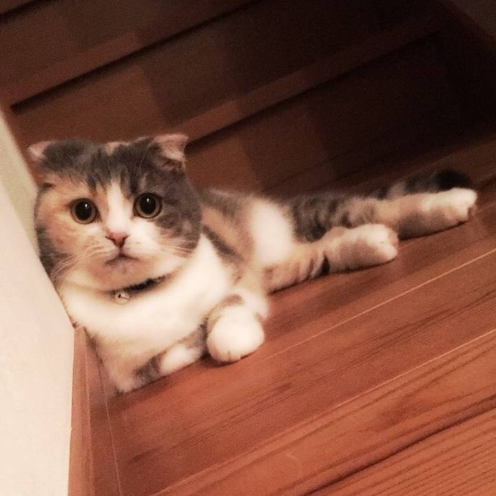 83eef076 2399 4349 8f62 cc85851a6b20 1578391256365