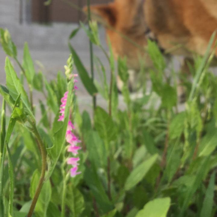 83ef0575 9213 46b0 bf6a 207d52bffec6 1561540155796